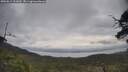 ./images/calvert/fitz-hugh-hecate/20250612/fitz-hugh-hecate20250612_101009M.jpg