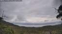 ./images/calvert/fitz-hugh-hecate/20250612/fitz-hugh-hecate20250612_102009M.jpg