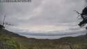 ./images/calvert/fitz-hugh-hecate/20250612/fitz-hugh-hecate20250612_102509M.jpg