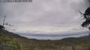 ./images/calvert/fitz-hugh-hecate/20250612/fitz-hugh-hecate20250612_103010M.jpg