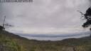 ./images/calvert/fitz-hugh-hecate/20250612/fitz-hugh-hecate20250612_103510M.jpg