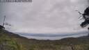 ./images/calvert/fitz-hugh-hecate/20250612/fitz-hugh-hecate20250612_104009M.jpg