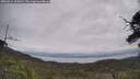 ./images/calvert/fitz-hugh-hecate/20250612/fitz-hugh-hecate20250612_104510M.jpg