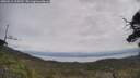 ./images/calvert/fitz-hugh-hecate/20250612/fitz-hugh-hecate20250612_105010M.jpg