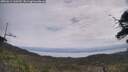 ./images/calvert/fitz-hugh-hecate/20250612/fitz-hugh-hecate20250612_110509M.jpg