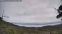 ./images/calvert/fitz-hugh-hecate/20250612/fitz-hugh-hecate20250612_111509M.jpg