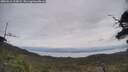 ./images/calvert/fitz-hugh-hecate/20250612/fitz-hugh-hecate20250612_113009M.jpg