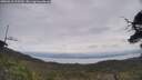 ./images/calvert/fitz-hugh-hecate/20250612/fitz-hugh-hecate20250612_113510M.jpg