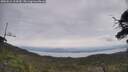 ./images/calvert/fitz-hugh-hecate/20250612/fitz-hugh-hecate20250612_114510M.jpg