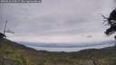 ./images/calvert/fitz-hugh-hecate/20250612/fitz-hugh-hecate20250612_115009M.jpg