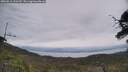 ./images/calvert/fitz-hugh-hecate/20250612/fitz-hugh-hecate20250612_120509M.jpg