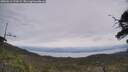 ./images/calvert/fitz-hugh-hecate/20250612/fitz-hugh-hecate20250612_121008M.jpg