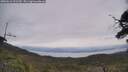 ./images/calvert/fitz-hugh-hecate/20250612/fitz-hugh-hecate20250612_121510M.jpg