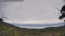 ./images/calvert/fitz-hugh-hecate/20250612/fitz-hugh-hecate20250612_122508M.jpg