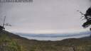 ./images/calvert/fitz-hugh-hecate/20250612/fitz-hugh-hecate20250612_123510M.jpg
