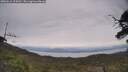 ./images/calvert/fitz-hugh-hecate/20250612/fitz-hugh-hecate20250612_124511M.jpg