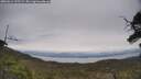 ./images/calvert/fitz-hugh-hecate/20250612/fitz-hugh-hecate20250612_125509M.jpg