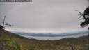 ./images/calvert/fitz-hugh-hecate/20250612/fitz-hugh-hecate20250612_133010M.jpg