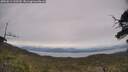 ./images/calvert/fitz-hugh-hecate/20250612/fitz-hugh-hecate20250612_133510M.jpg
