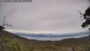 ./images/calvert/fitz-hugh-hecate/20250612/fitz-hugh-hecate20250612_134010M.jpg