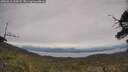 ./images/calvert/fitz-hugh-hecate/20250612/fitz-hugh-hecate20250612_134507M.jpg