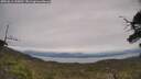 ./images/calvert/fitz-hugh-hecate/20250612/fitz-hugh-hecate20250612_135010M.jpg