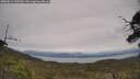 ./images/calvert/fitz-hugh-hecate/20250612/fitz-hugh-hecate20250612_135510M.jpg