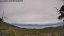 ./images/calvert/fitz-hugh-hecate/20250612/fitz-hugh-hecate20250612_140009M.jpg