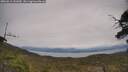 ./images/calvert/fitz-hugh-hecate/20250612/fitz-hugh-hecate20250612_141010M.jpg