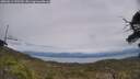 ./images/calvert/fitz-hugh-hecate/20250612/fitz-hugh-hecate20250612_142509M.jpg