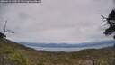 ./images/calvert/fitz-hugh-hecate/20250612/fitz-hugh-hecate20250612_143509M.jpg