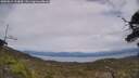 ./images/calvert/fitz-hugh-hecate/20250612/fitz-hugh-hecate20250612_144009M.jpg