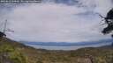 ./images/calvert/fitz-hugh-hecate/20250612/fitz-hugh-hecate20250612_144509M.jpg
