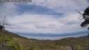 ./images/calvert/fitz-hugh-hecate/20250612/fitz-hugh-hecate20250612_150510M.jpg