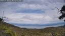 ./images/calvert/fitz-hugh-hecate/20250612/fitz-hugh-hecate20250612_151511M.jpg