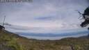 ./images/calvert/fitz-hugh-hecate/20250612/fitz-hugh-hecate20250612_152510M.jpg