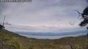 ./images/calvert/fitz-hugh-hecate/20250612/fitz-hugh-hecate20250612_153509M.jpg