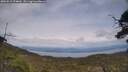 ./images/calvert/fitz-hugh-hecate/20250612/fitz-hugh-hecate20250612_154010M.jpg