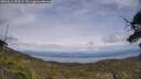 ./images/calvert/fitz-hugh-hecate/20250612/fitz-hugh-hecate20250612_154509M.jpg