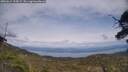 ./images/calvert/fitz-hugh-hecate/20250612/fitz-hugh-hecate20250612_155007M.jpg
