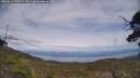 ./images/calvert/fitz-hugh-hecate/20250612/fitz-hugh-hecate20250612_155509M.jpg