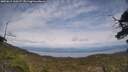 ./images/calvert/fitz-hugh-hecate/20250612/fitz-hugh-hecate20250612_160506M.jpg