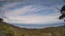 ./images/calvert/fitz-hugh-hecate/20250612/fitz-hugh-hecate20250612_161009M.jpg