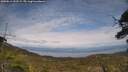 ./images/calvert/fitz-hugh-hecate/20250612/fitz-hugh-hecate20250612_161509M.jpg