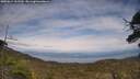 ./images/calvert/fitz-hugh-hecate/20250612/fitz-hugh-hecate20250612_162509M.jpg