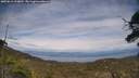 ./images/calvert/fitz-hugh-hecate/20250612/fitz-hugh-hecate20250612_163010M.jpg
