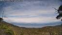 ./images/calvert/fitz-hugh-hecate/20250612/fitz-hugh-hecate20250612_163508M.jpg