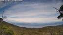 ./images/calvert/fitz-hugh-hecate/20250612/fitz-hugh-hecate20250612_164009M.jpg