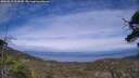 ./images/calvert/fitz-hugh-hecate/20250612/fitz-hugh-hecate20250612_164510M.jpg