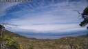 ./images/calvert/fitz-hugh-hecate/20250612/fitz-hugh-hecate20250612_165009M.jpg